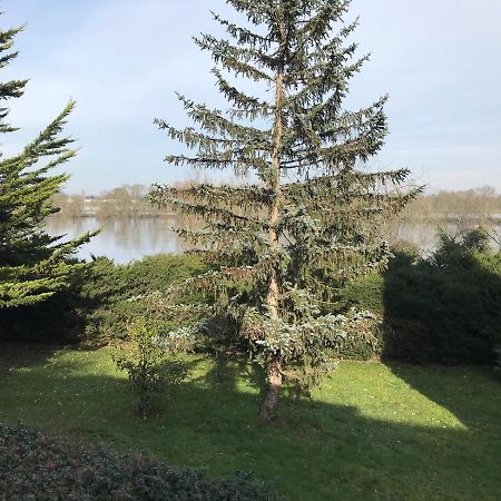Une Nuit Sur Loire Treves-Cunault Exterior foto